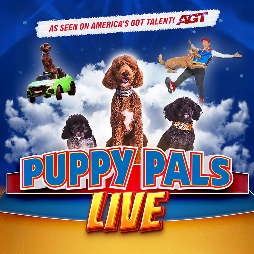 up-puppy-pals-live-2026-tile Puppy Pals Live